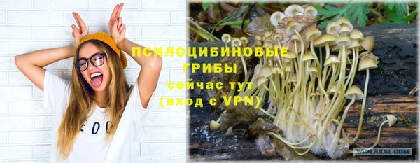 прущая мука Алексин