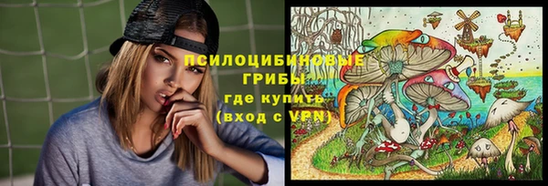 метадон Армянск