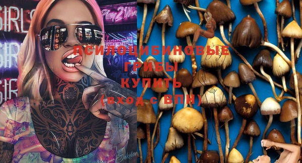марки nbome Алзамай