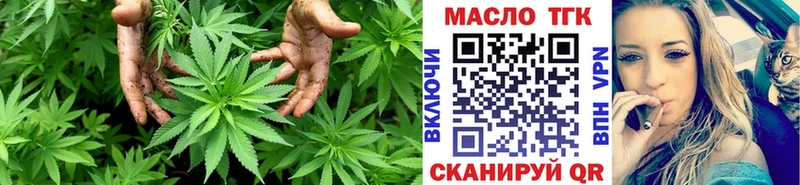 kraken ONION  Пошехонье  Дистиллят ТГК гашишное масло 